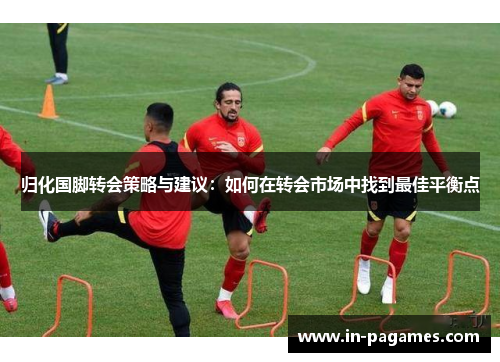 归化国脚转会策略与建议：如何在转会市场中找到最佳平衡点