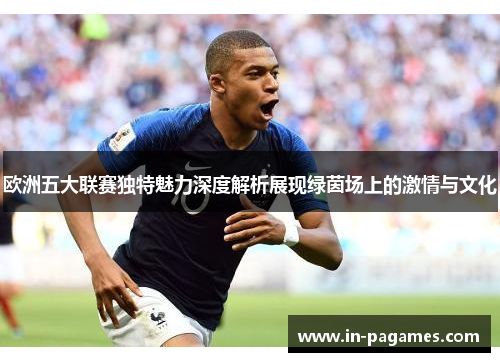 欧洲五大联赛独特魅力深度解析展现绿茵场上的激情与文化