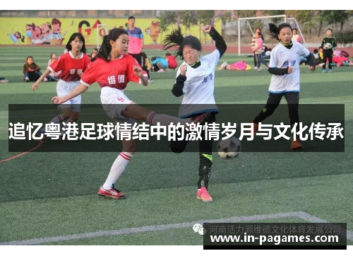 追忆粤港足球情结中的激情岁月与文化传承