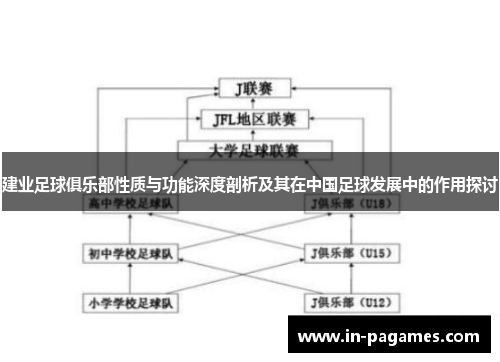 建业足球俱乐部性质与功能深度剖析及其在中国足球发展中的作用探讨